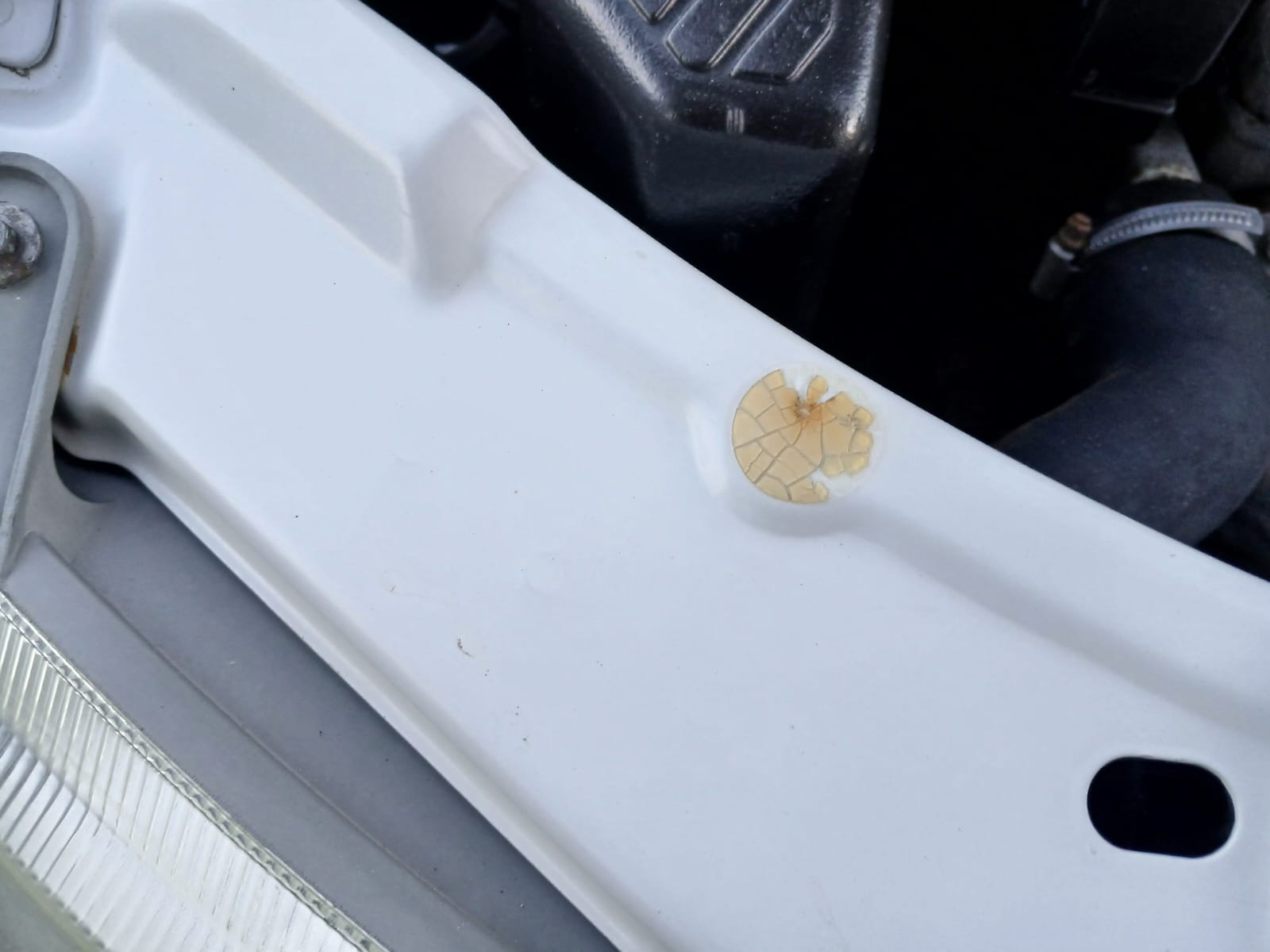 Celta Life 1.0 2006 Economia Comprovada E Estado De Conservação Diferenciado!